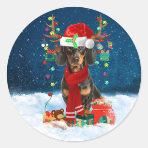 Sticker Rond Dachshund Chien en neige avec cadeaux de Noël