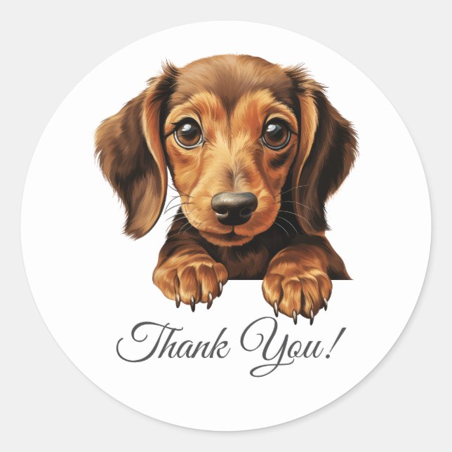Sticker Rond Dachshund Chien Merci (Devant)