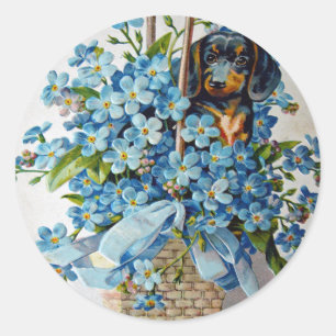 Sticker Rond Dachshund et Forget-Me-Nots