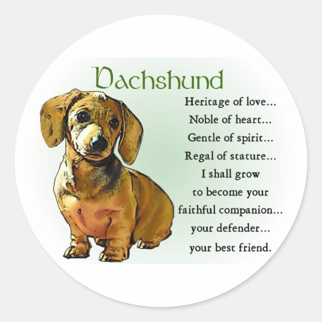Sticker Rond Dachshund Gifts (Devant)