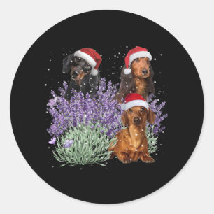 Sticker Rond Dachshund Lavender Flower Cadeau de Noël pour elle