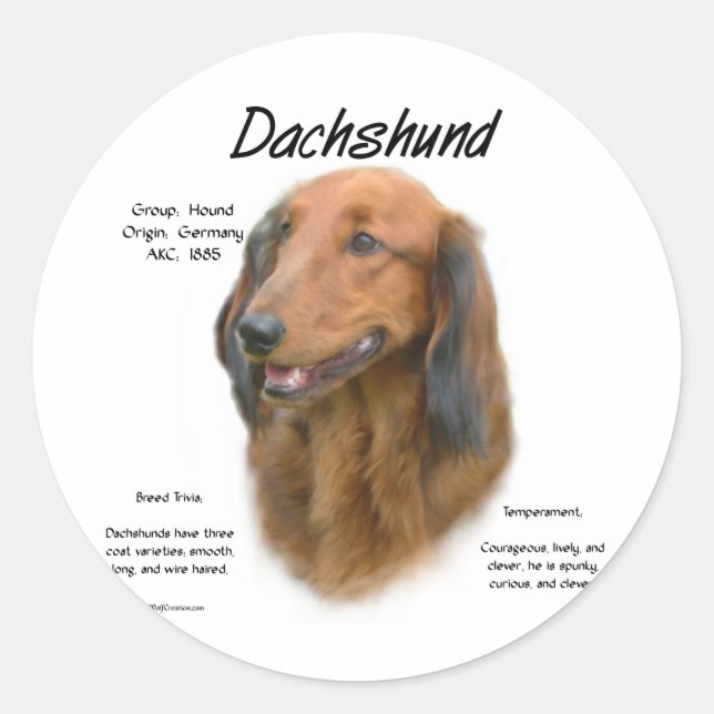 Sticker Rond Dachshund (longhair) Conception de l'histoire (Devant)