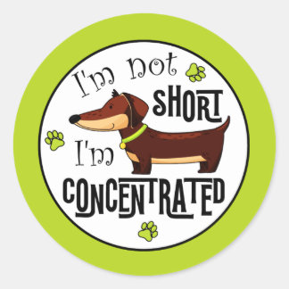 Sticker Rond Dachshund Pas Petit Je Suis Concentré 