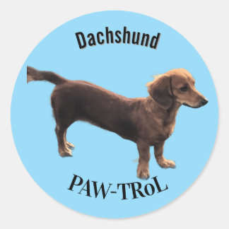 Sticker Rond Dachshund Paw-trol