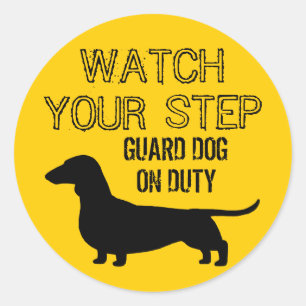 Sticker Rond Dachshund Regardez votre pas Drôle Design