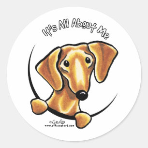 Sticker Rond Dachshund Rouge Doux Tout Sur Moi