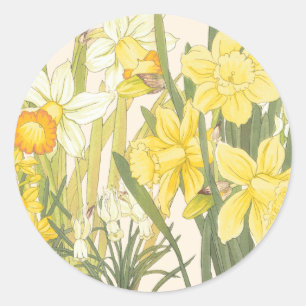 Sticker Rond Daffodiles jaunes