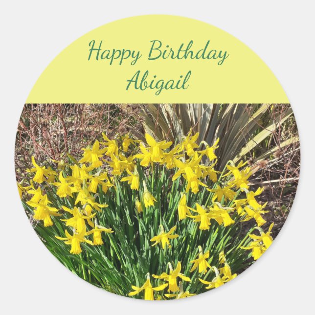 Sticker Rond Daffodiques jaunes printaniers Anniversaire (Devant)