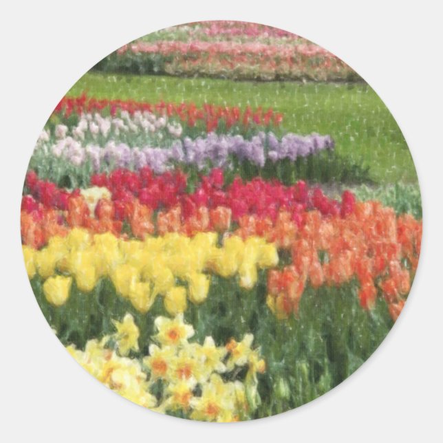 Sticker Rond Daffodiques Tulipes Hyacinthes Crayons (Devant)