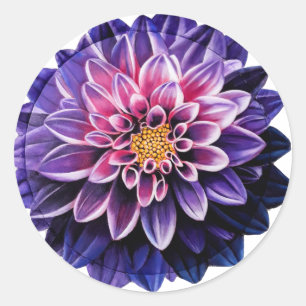 Sticker Rond Dahlia