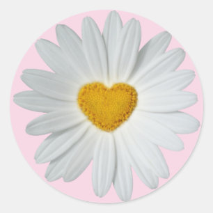 Sticker Rond Daisy Heart