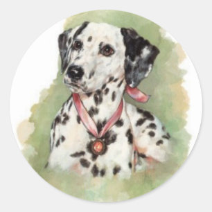 Sticker Rond Dalmatien