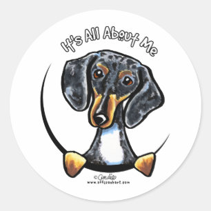 Sticker Rond Dapple Dachshund C'Est Tout Pour Moi