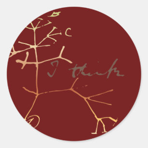 Sticker Rond Darwin arbre de vie : Je pense