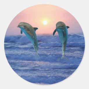 Sticker Rond Dauphins au lever du soleil