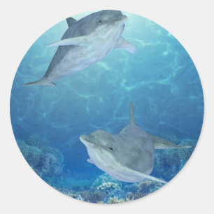 Sticker Rond dauphins heureux