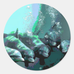 Sticker Rond Dauphins souriants