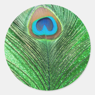 Sticker Rond De paon de plume toujours la vie scintillante