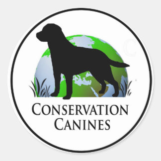 Sticker Rond Décal de canine de conservation