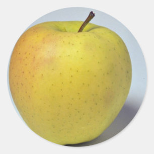 Sticker Rond Délicieux Golden Delicious pomme