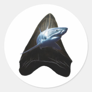 Sticker Rond dent de requin
