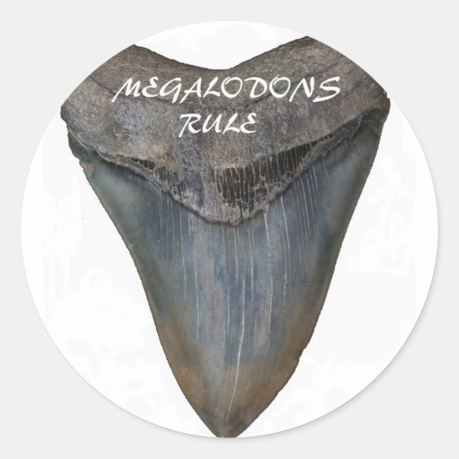 Sticker Rond Dent de requin Megalodon (Devant)