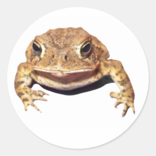 Sticker Rond Désapprouver Toad