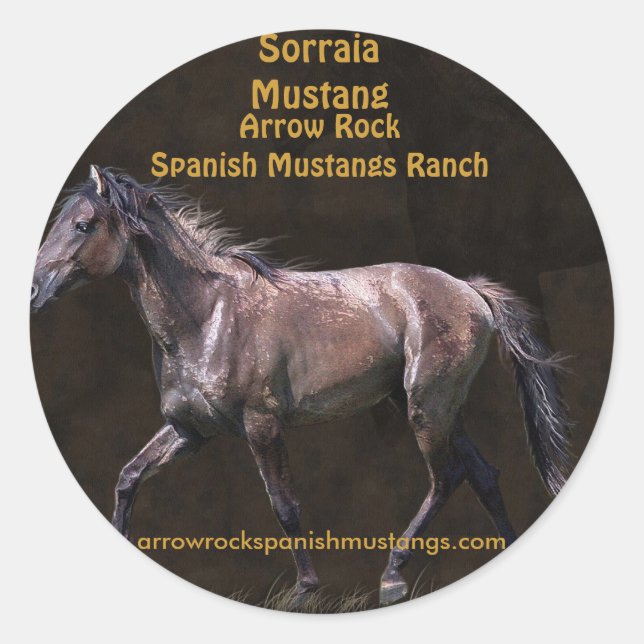 Sticker Rond Design équin amateur de chevaux (Devant)