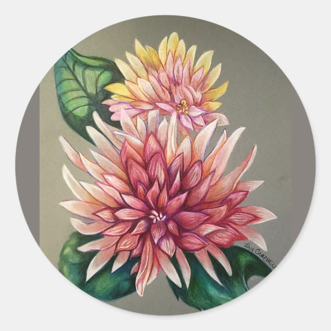 Sticker Rond Dessin Chrysanthème japonais rose Fleur (Devant)