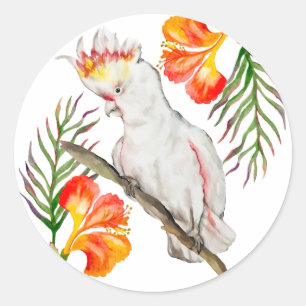 Sticker Rond Dessin d'aquarelle d'un perroquet de cacatoès