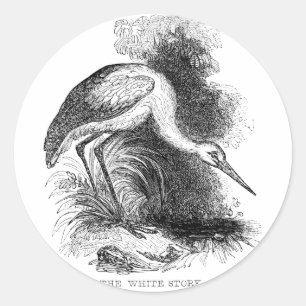 Sticker Rond Dessin de faune d'oiseau vintage de cigogne blanch