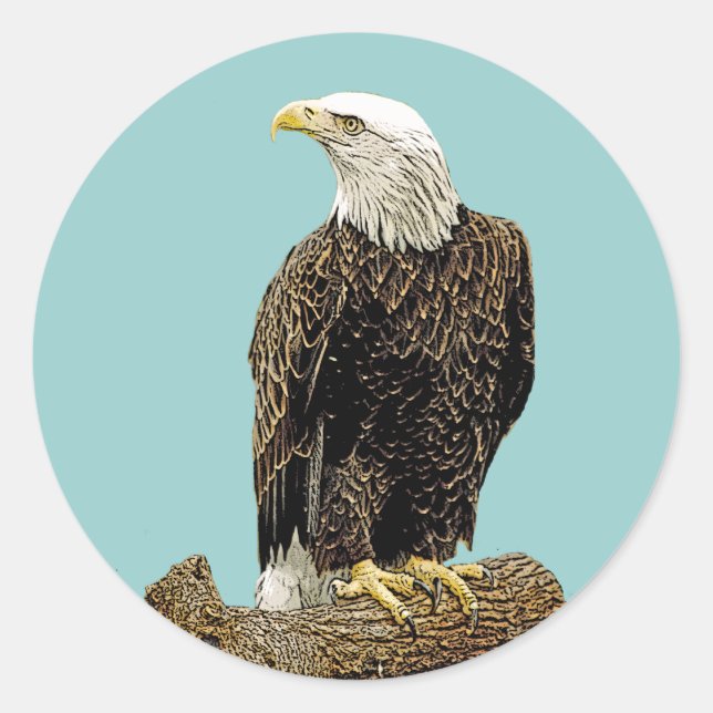 Sticker Rond Dessin de l'aigle à balles (Devant)