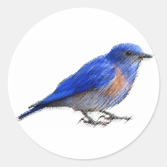 Sticker Rond Dessin original d'un oiseau bleu (bleuet) (Devant)