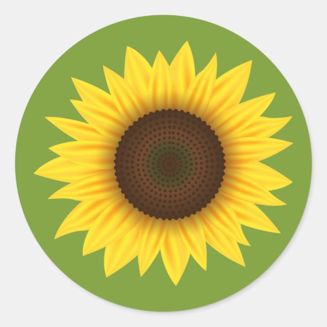 Sticker Rond Dessin Sur Tournesol Jaune Illustration Sur Vert (Devant)