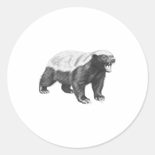 Sticker Rond Dessin vintage de blaireau à miel faune réaliste A