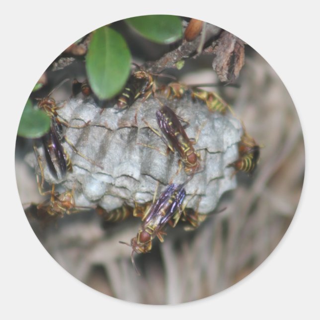 Sticker Rond Détaillants #2 (Devant)