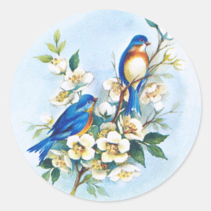 Sticker Rond Deux Bluebirds
