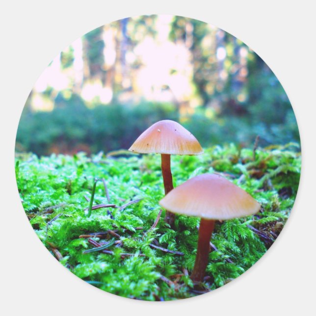 Sticker Rond deux champignons (Devant)