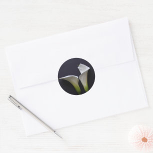 Sticker Rond Deux lys calla sur le noir