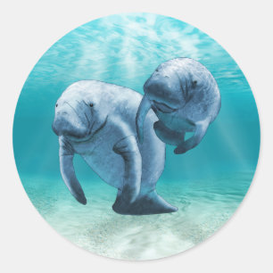 Sticker Rond Deux Manatees