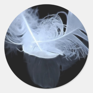 Sticker Rond Deux plumes de flamme et réflexion