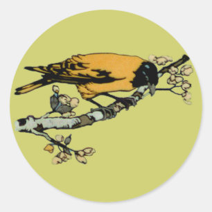 Sticker Rond Développement de l'illustration d'oiseaux Vintages