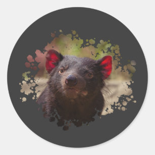 Sticker Rond diable de Tasmanie