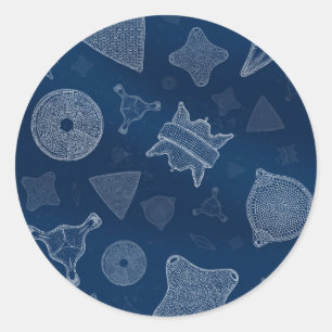 Sticker Rond Diatomées - vie marine microscopique