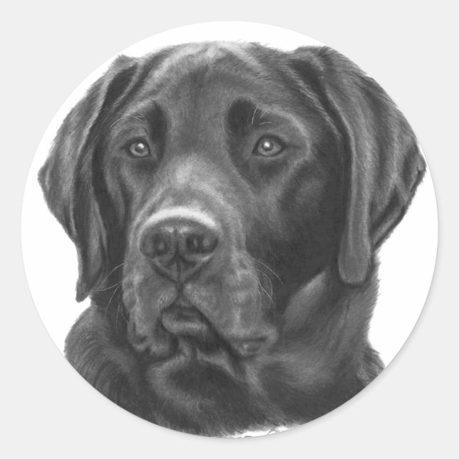Sticker Rond Diesel, Black Labrador Retriever (Devant)