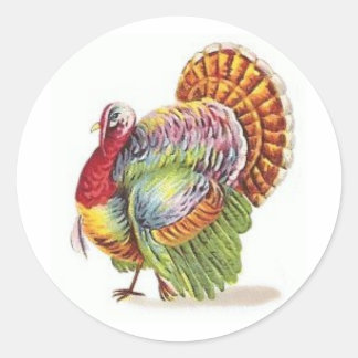 Sticker Rond dinde colorée