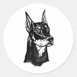 STICKER ROND DOBERMAN HEAD