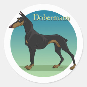 Sticker Rond dobermann