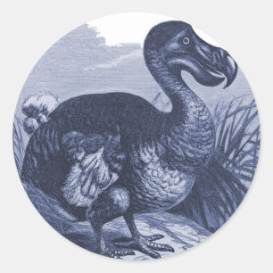 Sticker Rond Dodo Bird