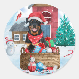 Sticker Rond Doigt Rottweiler dans la neige Maison de Chien de